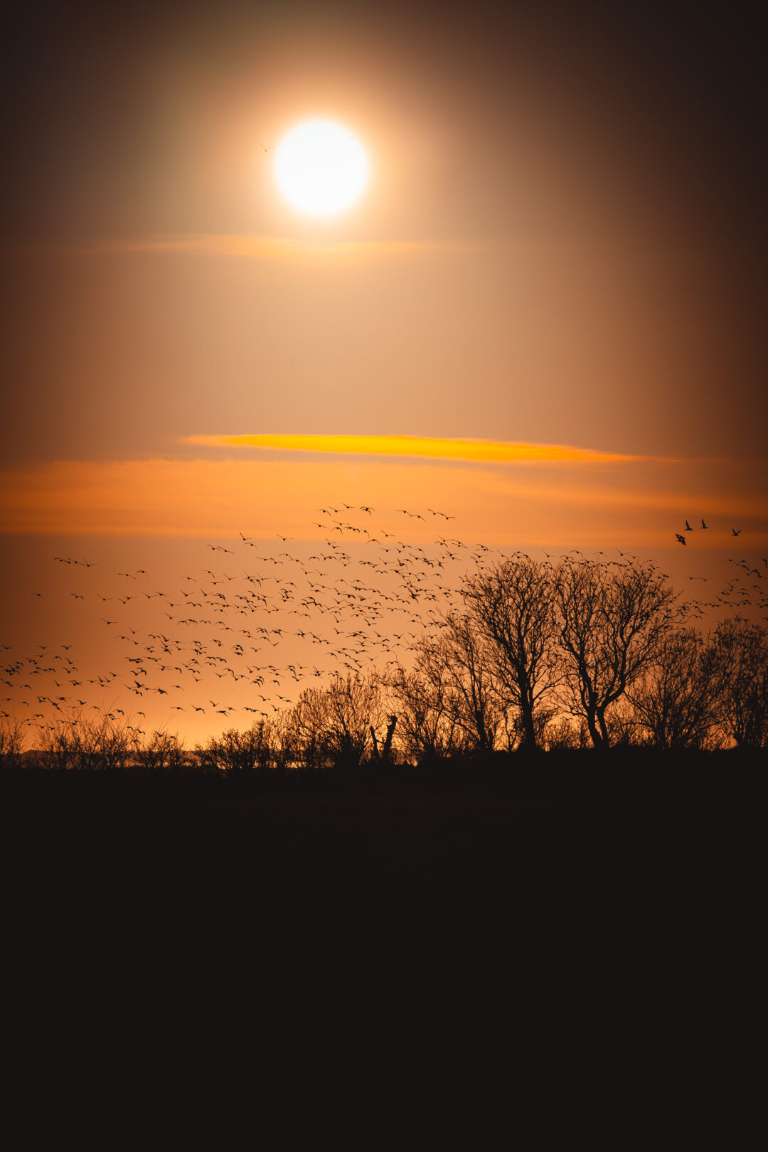 NATURBEGEISTERUNG LEBEN