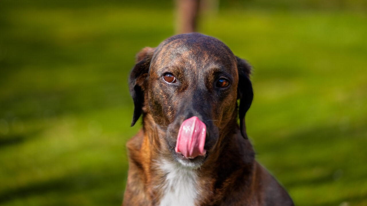 NATURBEGEISTERUNG LEBEN